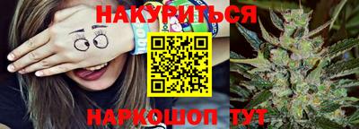 бошки Дубна