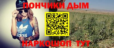 сатива Донецк