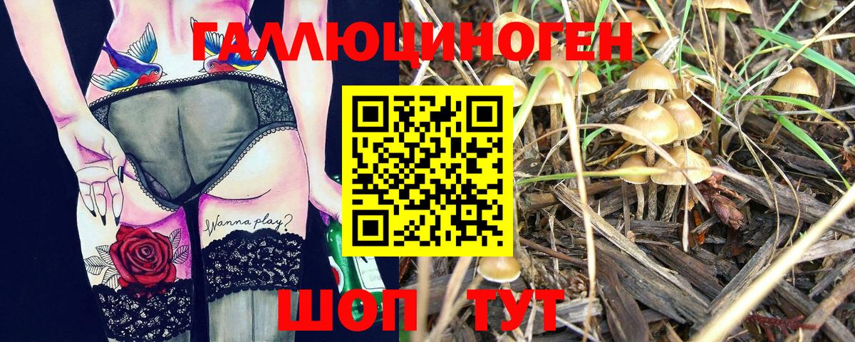 Галлюциногенные грибы мухоморы Люберцы